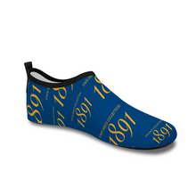 Load image into Gallery viewer, 1891 Aqua Socks Aggie (North Carolina A&amp;T)