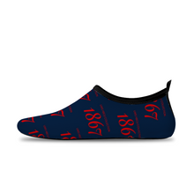 Load image into Gallery viewer, 1867 BISON Aqua Socks