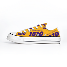 Load image into Gallery viewer, 1870 Chucks Hawk Low Top (Hunter College)
