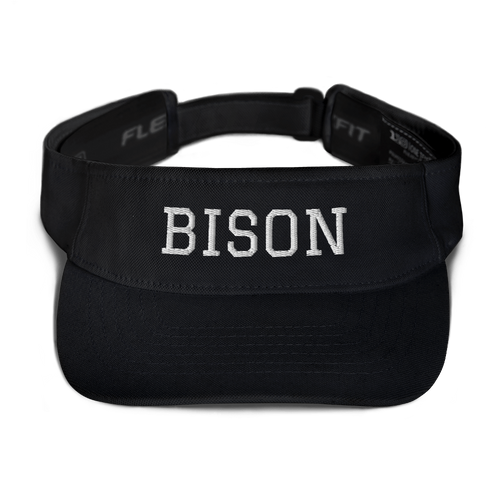 BISON Visor